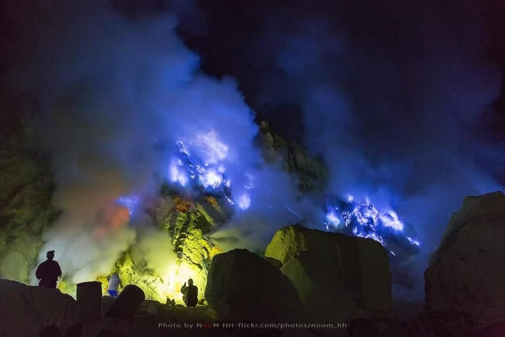 Dannu'S Homestay Ijen And Bromo Tour Баньювангі Екстер'єр фото