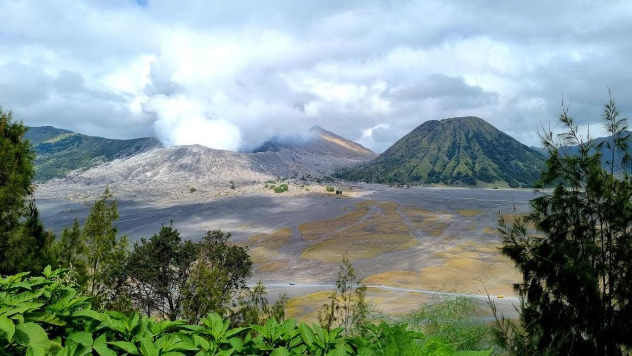 Dannu'S Homestay Ijen And Bromo Tour Баньювангі Екстер'єр фото