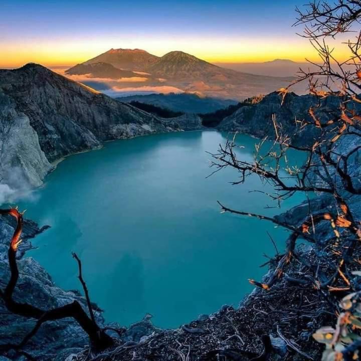 Dannu'S Homestay Ijen And Bromo Tour Баньювангі Екстер'єр фото