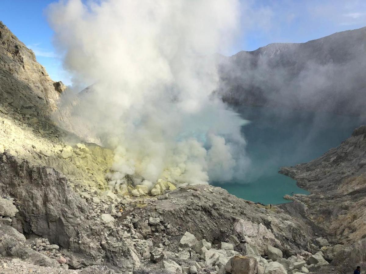 Dannu'S Homestay Ijen And Bromo Tour Баньювангі Екстер'єр фото